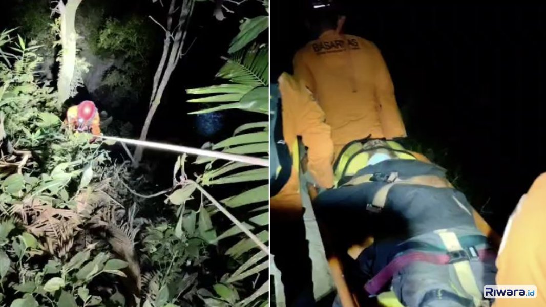Proses pertolongan dan evakuasi pengamat satwa yang terperosok ke jurang oleh SAR gabungan